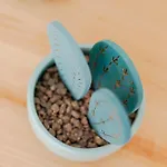 아파트 Casa Cauma