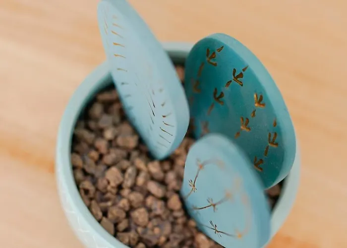 Apartamento Casa Cauma