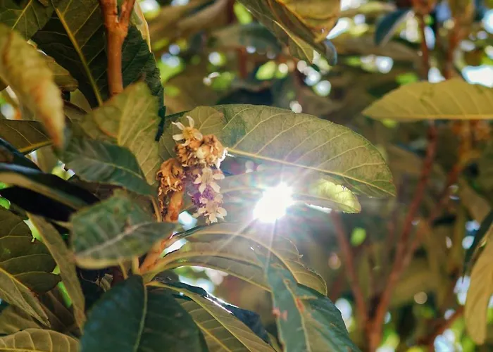 Casa Cauma * Albarracín